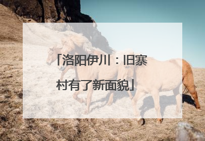 洛阳伊川：旧寨村有了新面貌