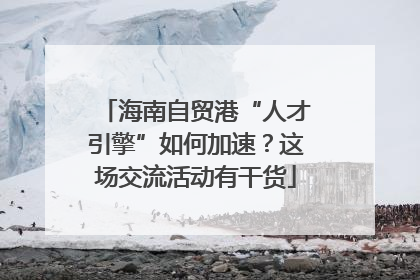 海南自贸港“人才引擎”如何加速？这场交流活动有干货