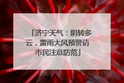济宁天气：阴转多云，雷雨大风预警请市民注意防范