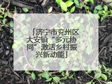 济宁市兖州区大安镇“多元协同”激活乡村振兴新动能