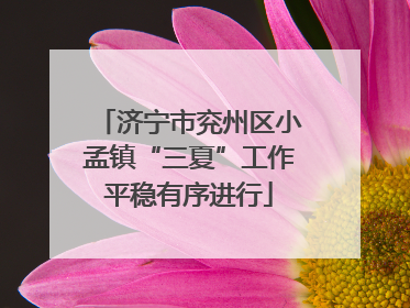 济宁市兖州区小孟镇“三夏”工作平稳有序进行