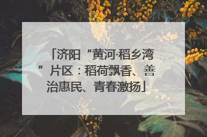 济阳“黄河·稻乡湾”片区：稻荷飘香、善治惠民、青春激扬