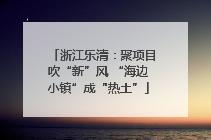 浙江乐清：聚项目吹“新”风 “海边小镇”成“热土”