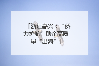 浙江嘉兴：“侨力护航”助企高质量“出海”