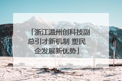 浙江温州创科技副总引才新机制 塑民企发展新优势