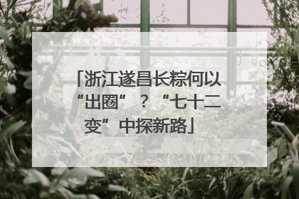 浙江遂昌长粽何以“出圈”？“七十二变”中探新路
