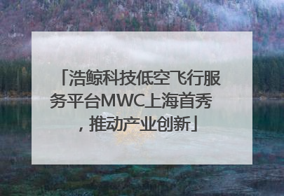 浩鲸科技低空飞行服务平台MWC上海首秀，推动产业创新