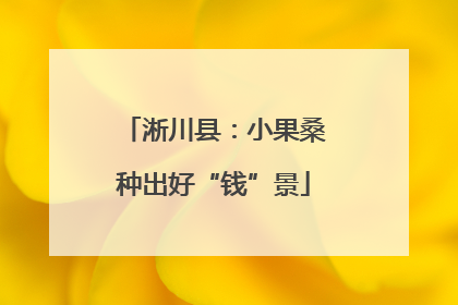 淅川县：小果桑种出好“钱”景
