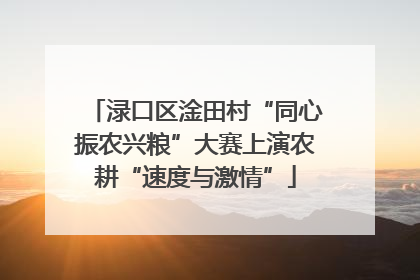 渌口区淦田村“同心振农兴粮”大赛上演农耕“速度与激情”