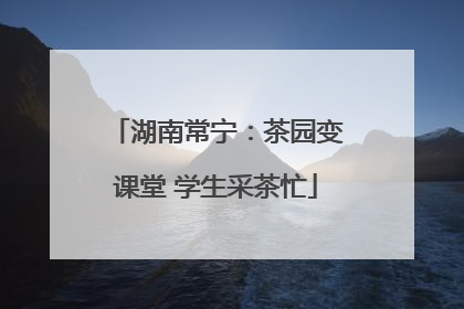湖南常宁：茶园变课堂 学生采茶忙