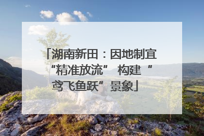 湖南新田：因地制宜“精准放流” 构建“鸢飞鱼跃”景象
