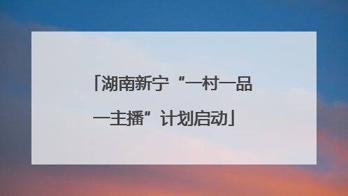 湖南新宁“一村一品一主播”计划启动