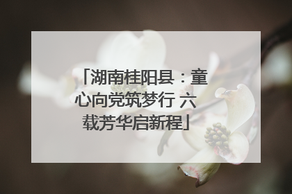 湖南桂阳县：童心向党筑梦行 六载芳华启新程