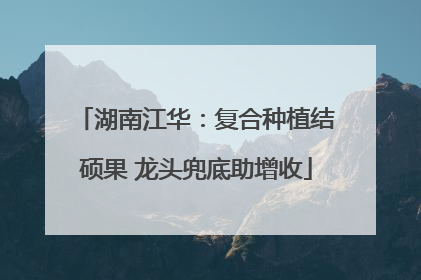 湖南江华：复合种植结硕果 龙头兜底助增收