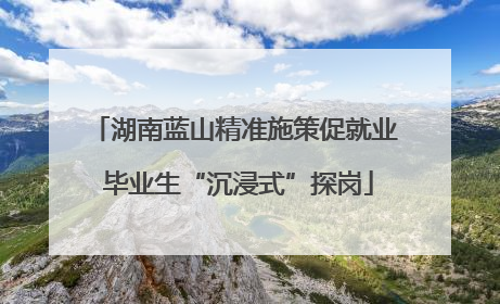 湖南蓝山精准施策促就业 毕业生“沉浸式”探岗