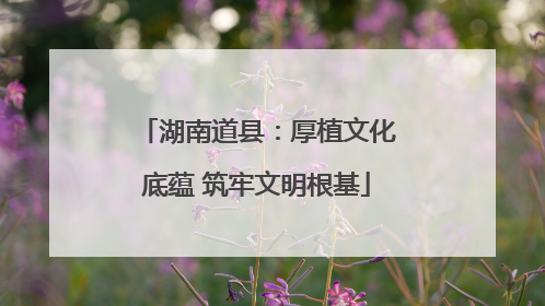 湖南道县：厚植文化底蕴 筑牢文明根基