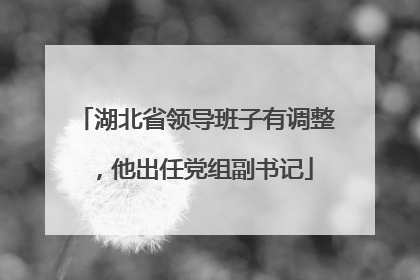 湖北省领导班子有调整，他出任党组副书记