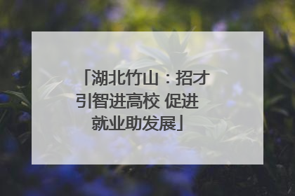 湖北竹山：招才引智进高校 促进就业助发展
