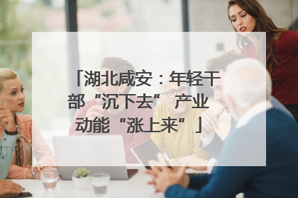 湖北咸安：年轻干部“沉下去” 产业动能“涨上来”