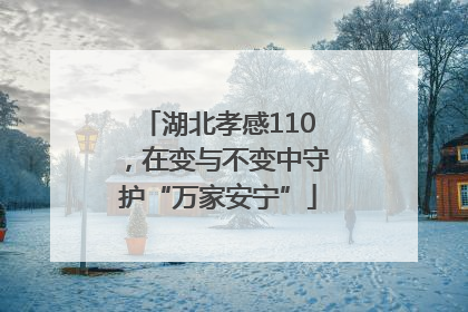 湖北孝感110，在变与不变中守护“万家安宁”