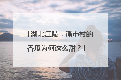 湖北江陵：潘市村的香瓜为何这么甜？