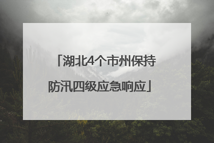 湖北4个市州保持防汛四级应急响应