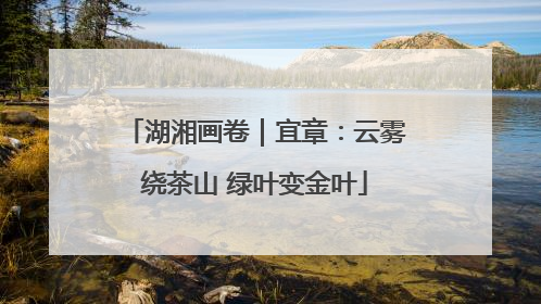 湖湘画卷｜宜章：云雾绕茶山 绿叶变金叶