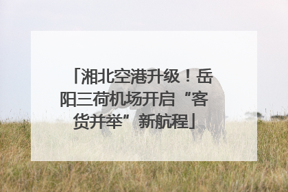 湘北空港升级！岳阳三荷机场开启“客货并举”新航程