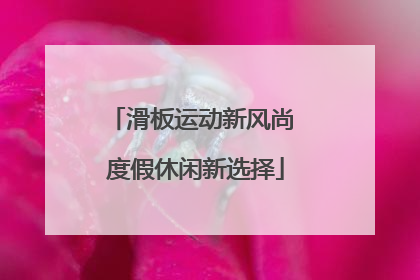 滑板运动新风尚 度假休闲新选择