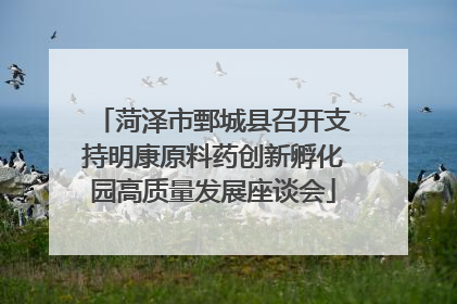 菏泽市鄄城县召开支持明康原料药创新孵化园高质量发展座谈会