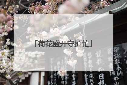荷花盛开守护忙