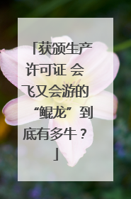 获颁生产许可证 会飞又会游的“鲲龙”到底有多牛？