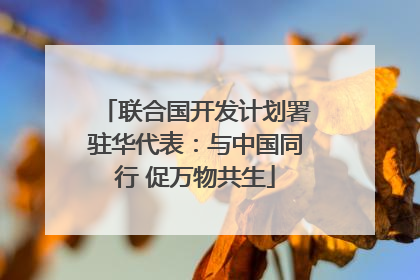 联合国开发计划署驻华代表：与中国同行 促万物共生