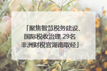 聚焦智慧税务建设、国际税收治理 29名非洲财税官湖南取经