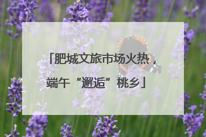 肥城文旅市场火热，端午“邂逅”桃乡