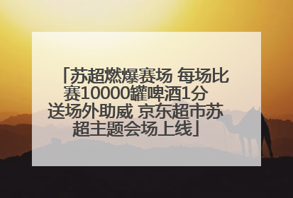 苏超燃爆赛场 每场比赛10000罐啤酒1分送场外助威 京东超市苏超主题会场上线