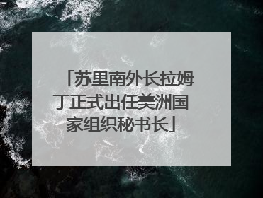 苏里南外长拉姆丁正式出任美洲国家组织秘书长