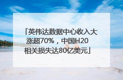 英伟达数据中心收入大涨超70%，中国H20相关损失达80亿美元