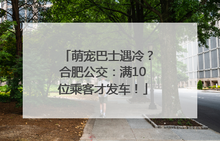萌宠巴士遇冷？合肥公交：满10位乘客才发车！