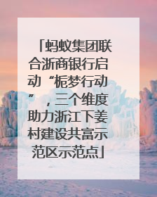 蚂蚁集团联合浙商银行启动“栀梦行动”，三个维度助力浙江下姜村建设共富示范区示范点