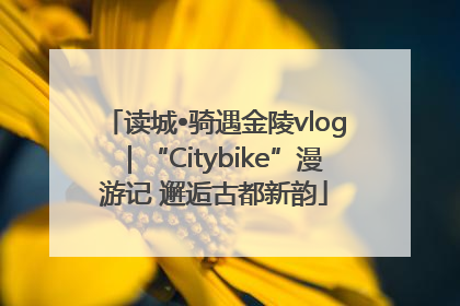 读城•骑遇金陵vlog｜“Citybike”漫游记 邂逅古都新韵