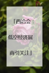 西洽会：低空经济展商引关注
