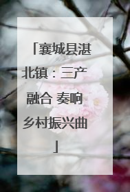 襄城县湛北镇：三产融合 奏响乡村振兴曲