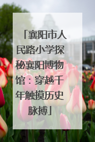襄阳市人民路小学探秘襄阳博物馆：穿越千年触摸历史脉搏