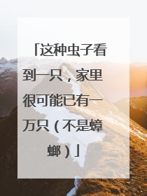 这种虫子看到一只，家里很可能已有一万只（不是蟑螂）