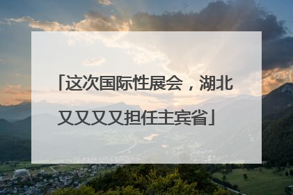 这次国际性展会，湖北又又又又担任主宾省