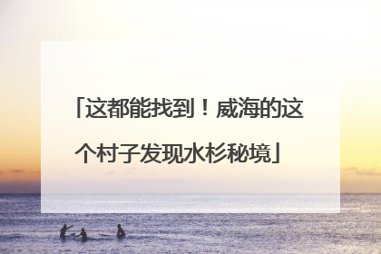 这都能找到！威海的这个村子发现水杉秘境