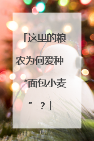 这里的粮农为何爱种“面包小麦”？