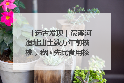 远古发现｜濛溪河遗址出土数万年前核桃，我国先民食用核桃历史大幅提前