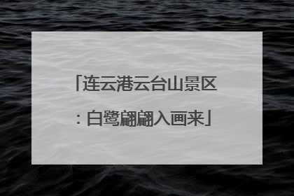 连云港云台山景区：白鹭翩翩入画来